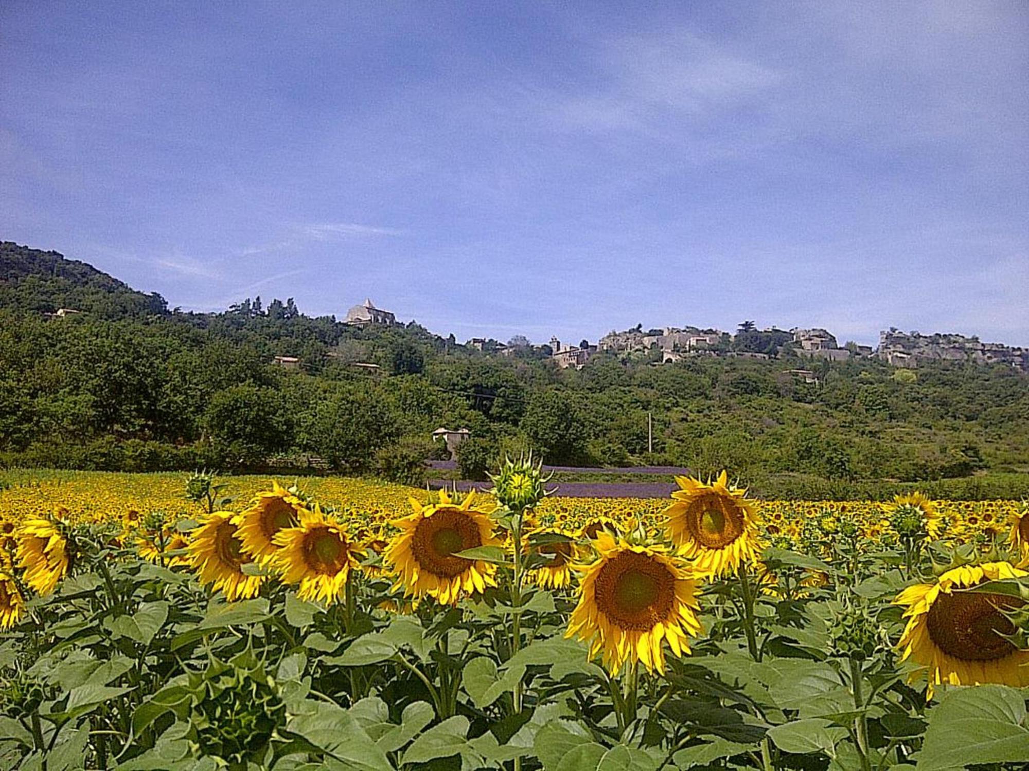 Villa Bellegarde Saignon Kültér fotó